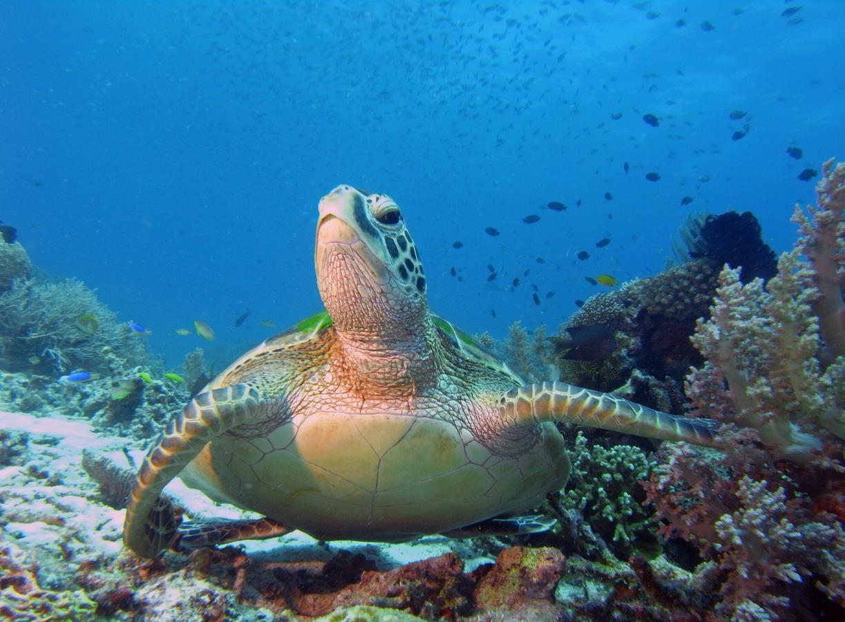 Divepoint Alcoy Ξενοδοχείο Εξωτερικό φωτογραφία